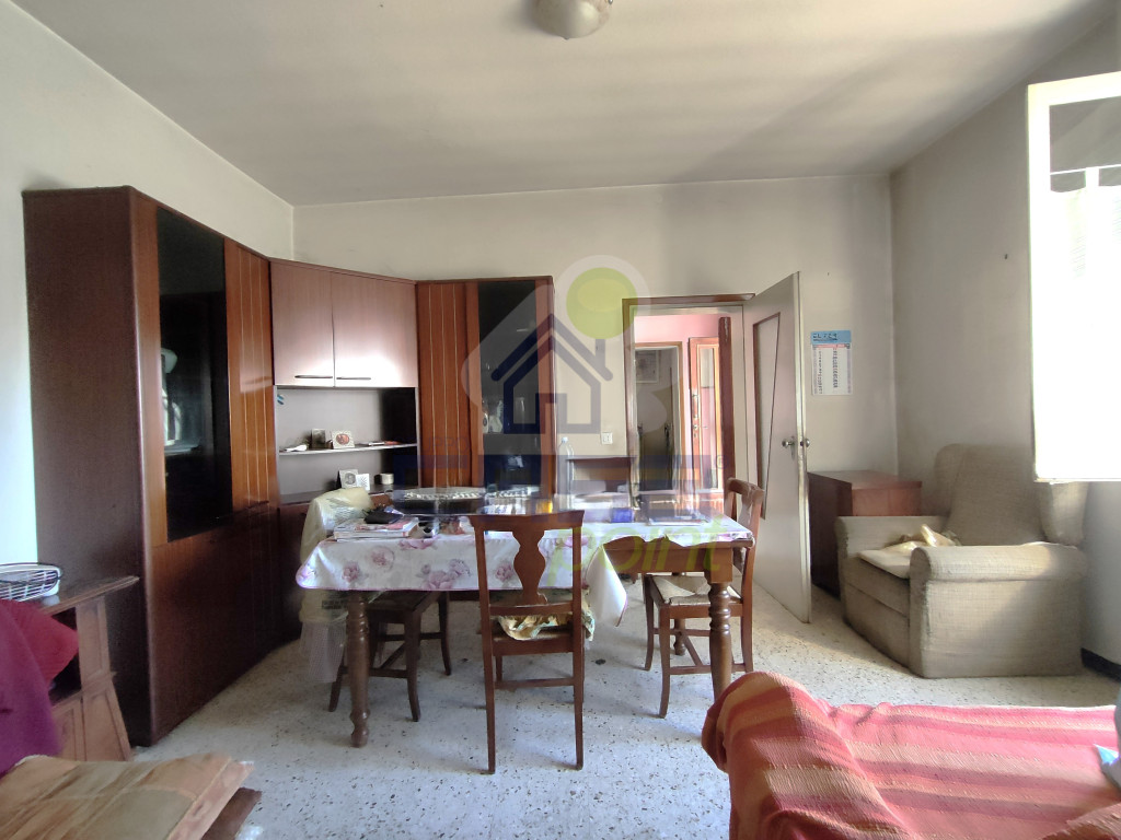 IMG20250417100138.jpg