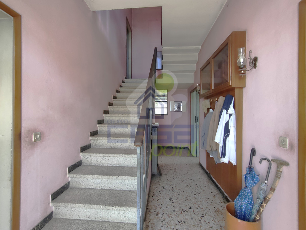 IMG20250417100226.jpg