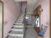 IMG20250417100226.jpg