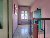 IMG20250417100441.jpg
