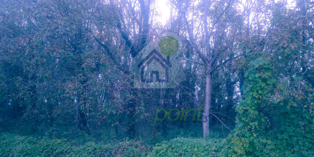 WhatsApp Image 2025-10-02 at 18.54.32 (1).jpeg