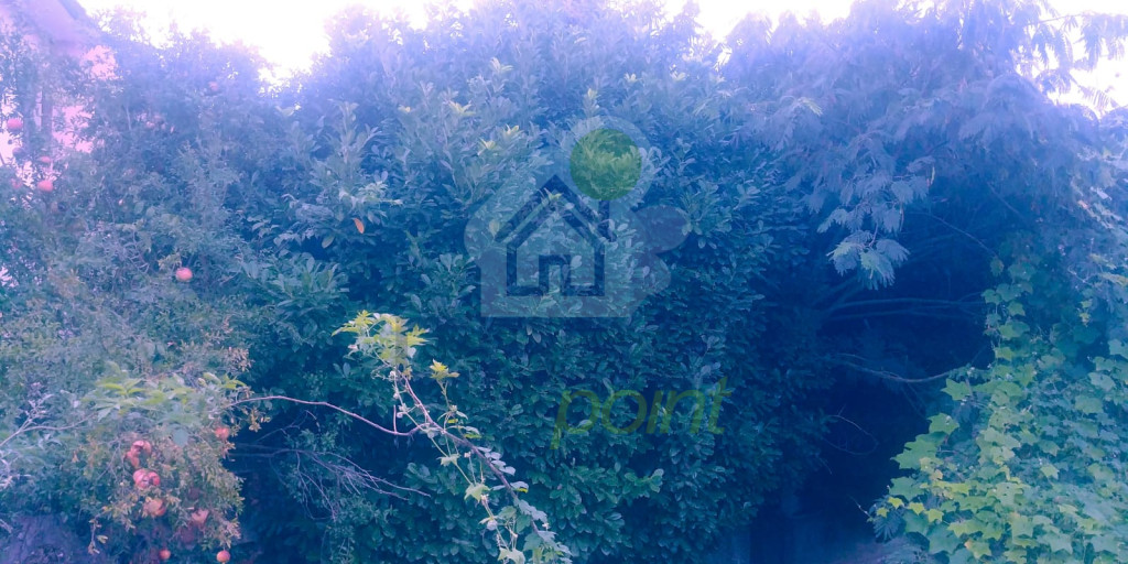 WhatsApp Image 2025-10-02 at 18.54.32.jpeg