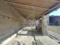 IMG20250711084628.jpg