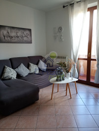 SALA1.jpg