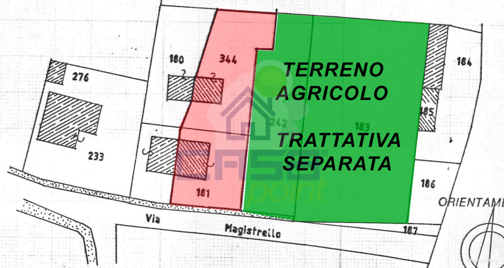 TERRENO.jpg