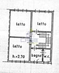 pln primo.jpeg
