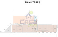 pianta-colore.jpg