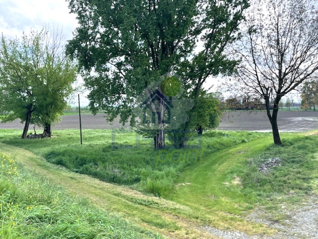 terreno