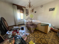 Immagine WhatsApp 2025-04-26 ore 12.36.40_05a9ec62.jpg