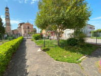 IMG_6484.jpg