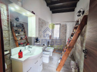 IMG_20250424_133638629_HDR~2.jpg