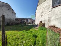 giardino.jpg