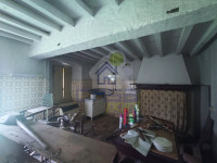 IMG_20250507_103353.jpg