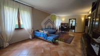 Casa Semindipendente a Suzzara