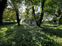IMG_1284-Media.jpeg