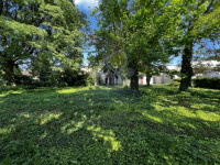 IMG_1289-Media.jpeg
