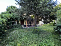 IMG_1305-Media.jpeg
