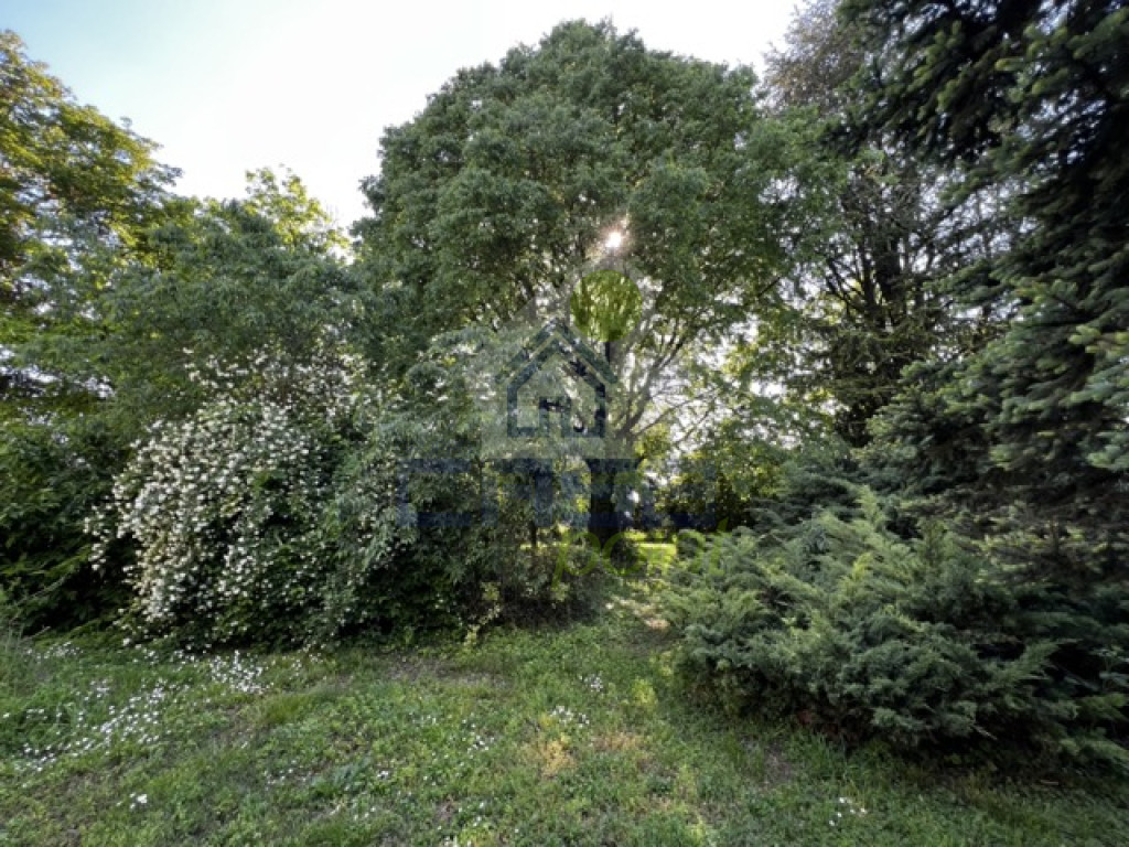 IMG_1309-Media.jpeg