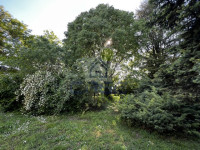 IMG_1309-Media.jpeg