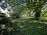IMG_1313-Media.jpeg