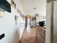 IMG_0796.jpeg