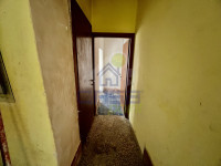 IMG_2052.jpeg