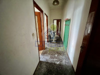 IMG_2056.jpeg