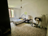 IMG_2059.jpeg