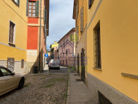 IMG_6525.jpg