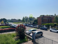 IMG_5819.jpg