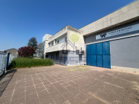 IMG_5846.jpg
