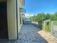 IMG_6716.jpg