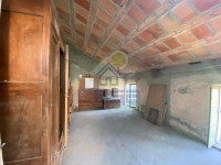 IMG_6812.jpg