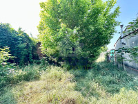 AREA-VERDE.jpg