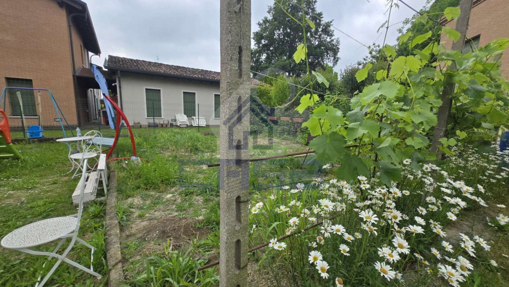orto