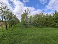 AZIENDA AGRICOLA CON FRUTTETO