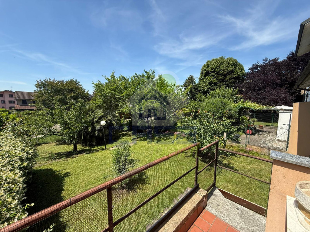 GIARINO-3.jpg