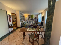 SALONE-1.jpg