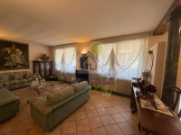 SALONE-5.jpg