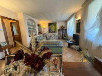 SALONE-6.jpg