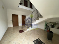 Ingresso