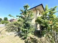 IMG_2234.jpeg