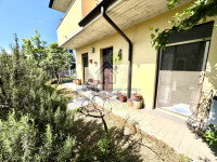 IMG_2236.jpeg