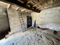 IMG_2301.jpeg