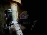 IMG_2310.jpeg
