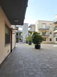 est-contesto-(1)-576x768.jpg