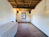 IMG_1229.jpeg