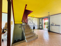 IMG_E4465.JPG