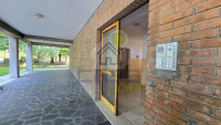INGRESSO