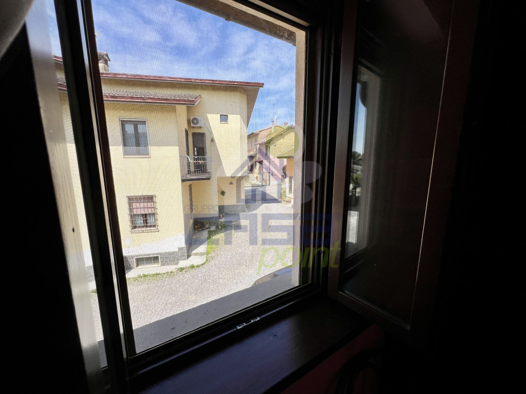 IMG_2345.jpeg